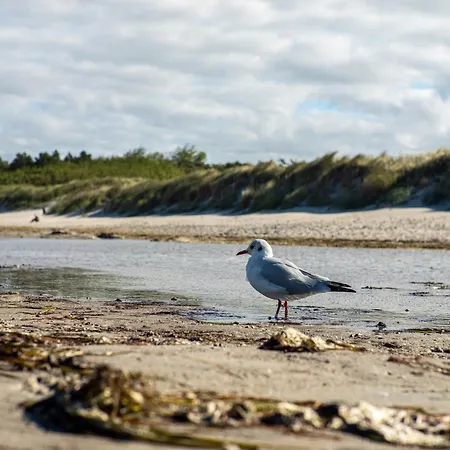 Strandhaus 43 * Dierhagen