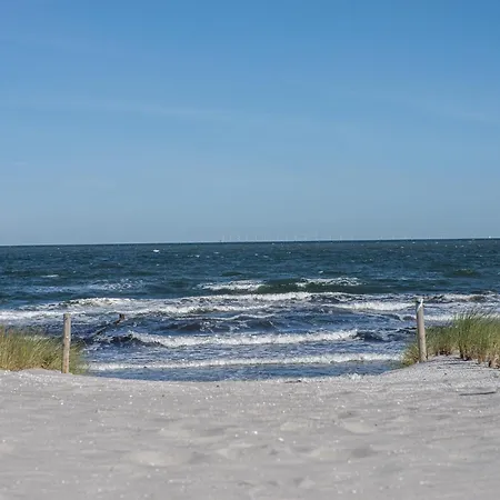 Dom wakacyjny Strandhaus 43